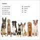 DK Super Readers Level 2 Amazing Dogs Preview 1