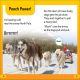 DK Super Readers Level 2 Amazing Dogs Preview 2