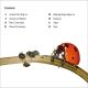DK Super Readers Level 2 Bugs and Us Preview 1