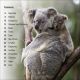 DK Super Readers Level 2 Wild Baby Animals Preview 1