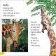 DK Super Readers Level 2 Wild Baby Animals Preview 2