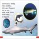 DK Super Readers Pre-Level Little Sharks Big Sharks Preview 1