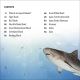 DK Super Readers Level 4 Shark: Apex Predator Preview 1