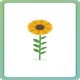 German for Everyone Junior First Words Flash Cards Preview 4
