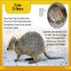 DK Super Readers Level 2 Quokkas Preview 3
