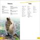 DK Super Readers Level 2 Quokkas Preview 4