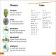 DK Super Readers Level 1 Bugs Hide and Seek Preview 4