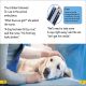DK Super Readers Level 2 Animal Hospital Preview 3