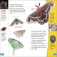 DK Super Readers Level 4 Predator and Prey Preview 3