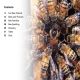 DK Super Readers Level 2 Amazing Bees Preview 1