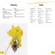 DK Super Readers Level 2 Amazing Bees Preview 4