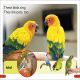 DK Super Readers Pre-Level Pets Preview 3