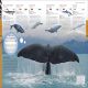 Animals: A Visual Encyclopedia (Second Edition) Preview 1