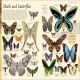 Animals: A Visual Encyclopedia (Second Edition) Preview 3