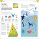 Help Your Kids with Science Preview 1