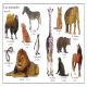 My First Spanish Word Board Book/mi Primer Libro De Palabras En Espanol Preview 2