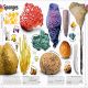 Our World in Pictures The Animal Book Preview 1