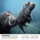 Our World in Pictures The Animal Book Preview 4