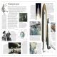 Astronomy Preview 2