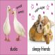 Baby Touch and Feel Farm Friends Preview 2