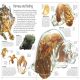 DK Eyewitness Books: Ocean Preview 1