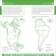 DK Workbooks: Geography, First Grade Preview 3