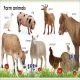 My First Animals Preview 1