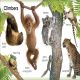My First Animals Preview 2
