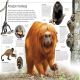 DK Eyewitness Books The Amazon Preview 1