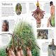 DK Eyewitness Books The Amazon Preview 2