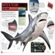 Super Shark Encyclopedia Preview 4