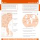 DK Workbooks: Geography, Fifth Grade Preview 3