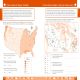 DK Workbooks: Geography, Fifth Grade Preview 4