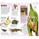 Pocket Genius: Animals Preview 2