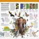 Knowledge Encyclopedia Animal! Preview 1