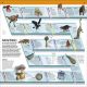 Knowledge Encyclopedia Animal! Preview 2