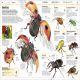 Knowledge Encyclopedia Animal! Preview 3