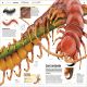 Knowledge Encyclopedia Animal! Preview 4