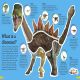 DKfindout! Dinosaurs Preview 1