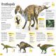DKfindout! Dinosaurs Preview 2