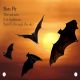DK Readers L1: All About Bats Preview 1