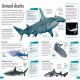 DKfindout! Sharks Preview 2