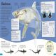 DKfindout! Sharks Preview 3