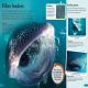 DKfindout! Sharks Preview 4