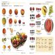German-English Bilingual Visual Dictionary Preview 3