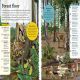 DKfindout! Forest Preview 1