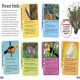 DKfindout! Forest Preview 3