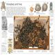 DK Eyewitness Books: Insect Preview 4