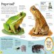 DKfindout! Reptiles and Amphibians Preview 1