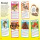 DKfindout! Reptiles and Amphibians Preview 3